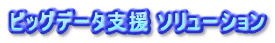 ビッグデータ支援 ソリューション